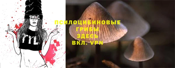 ECSTASY Аркадак