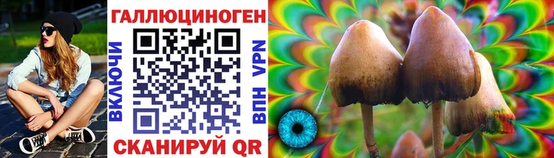 Псилоцибиновые грибы Psilocybine cubensis  МЕГА   Ржев 